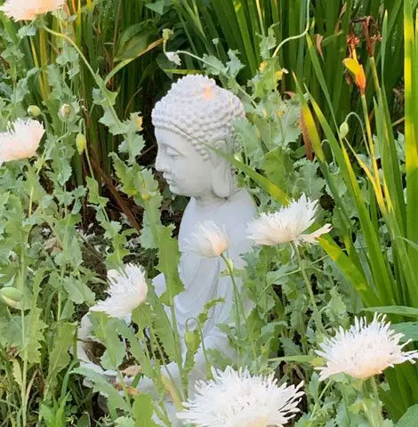 A statue of buddha in the middle of some plants