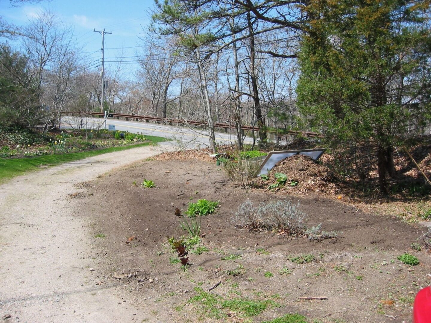 A dirt road with trees and bushes on the side.