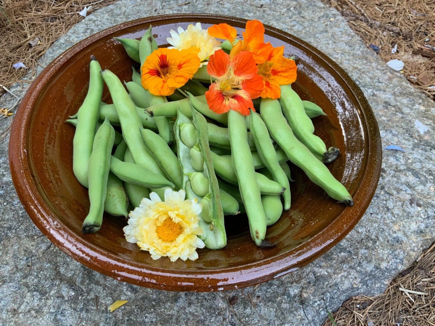 A brown bowl of green beans and flowers.