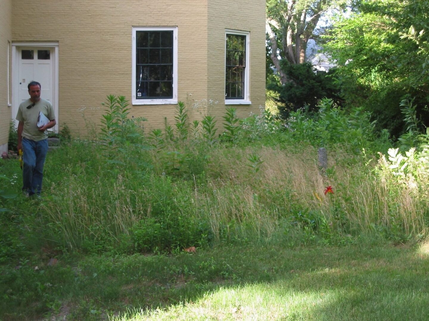 A house with tall grass growing in the yard.