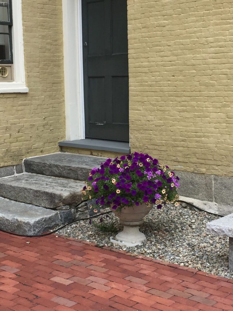A potted plant sitting on top of gravel.