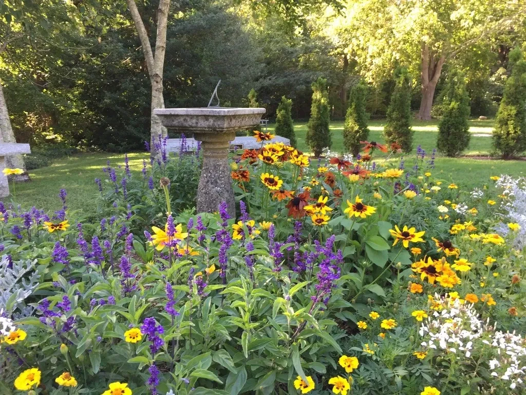 A garden with many different flowers and trees.